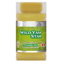 Wild Yam AV, 60 cps